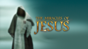 The Miracles of Jesus TV Series