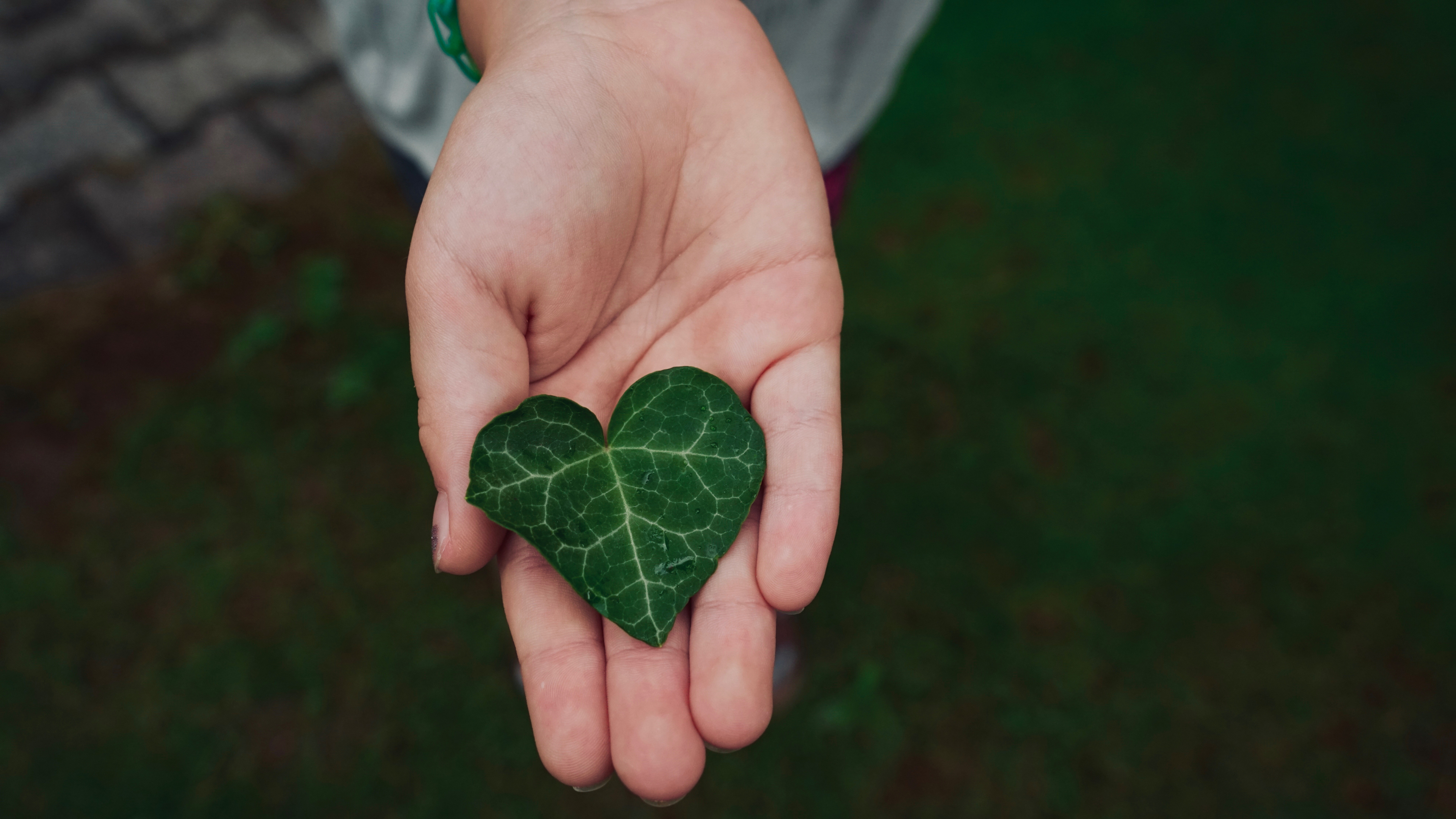 Breaking The Silence: Judgment, Labels, and the Healing Power of Nature